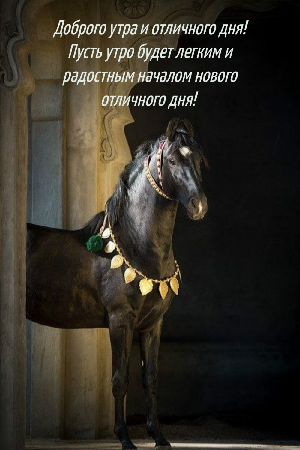 Доброго утра и отличного дня!