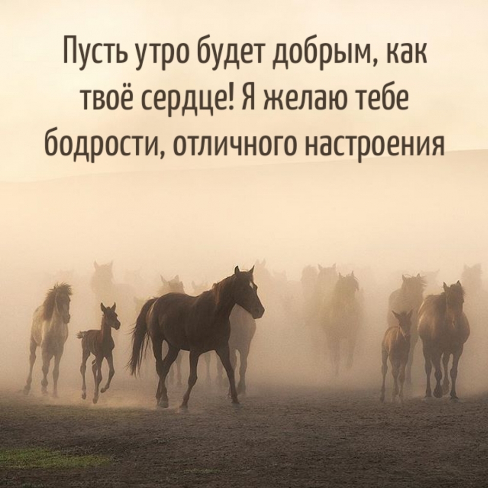 Пусть утро будет добрым, как твоё сердце!