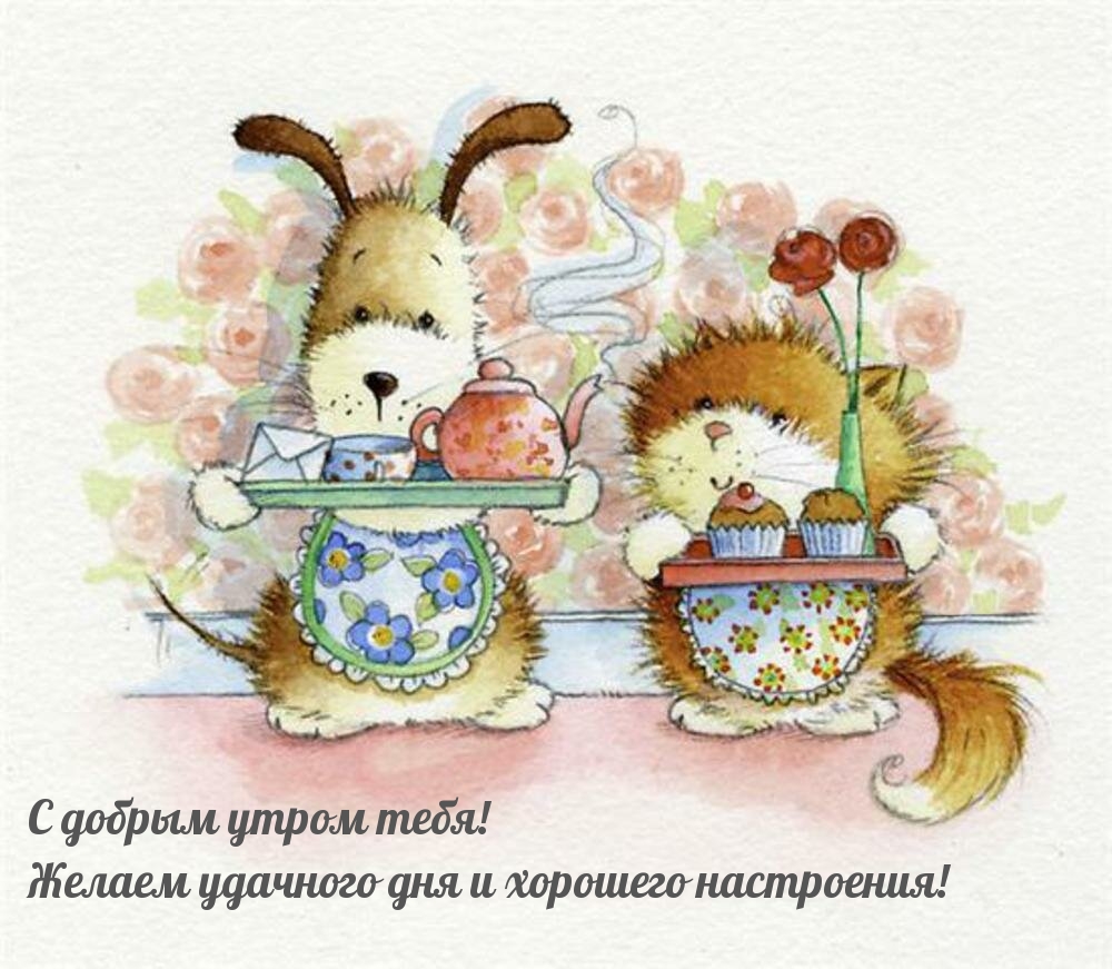 Желаем удачного дня и хорошего настроения!