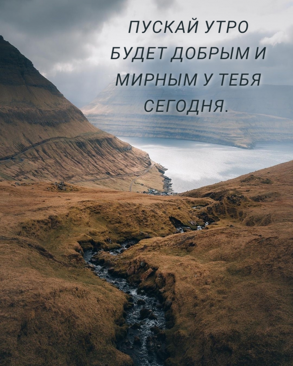 ПУСКАЙ УТРО БУДЕТ ДОБРЫМ И МИРНЫМ У ТЕБЯ СЕГОДНЯ.