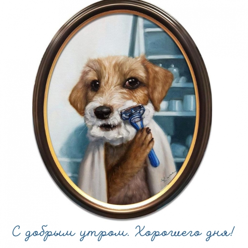 С добрым утром. Хорошего дня!