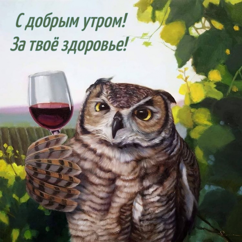 С добрым утром! За твоё здоровье!