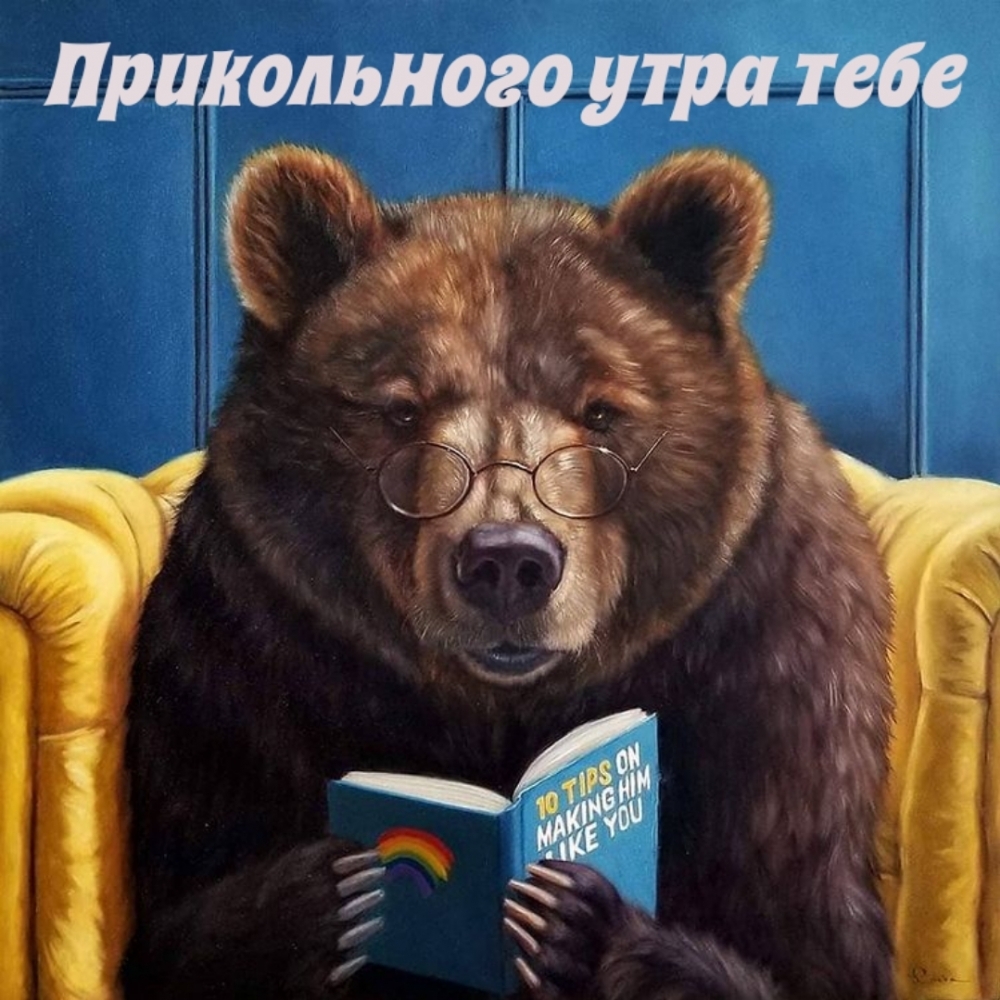 Прикольного утра тебе