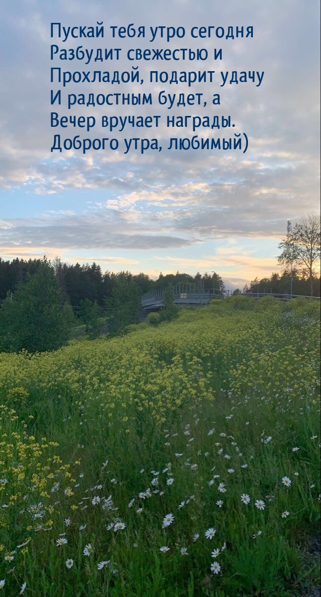 Пускай тебя утро сегодня разбудит свежестью и прохладой