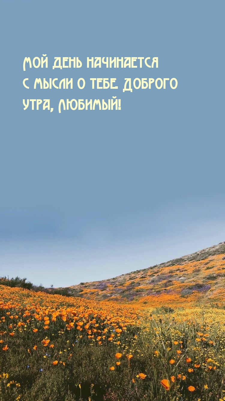 Мой день начинается с мысли о тебе. Доброго утра, Любимый!