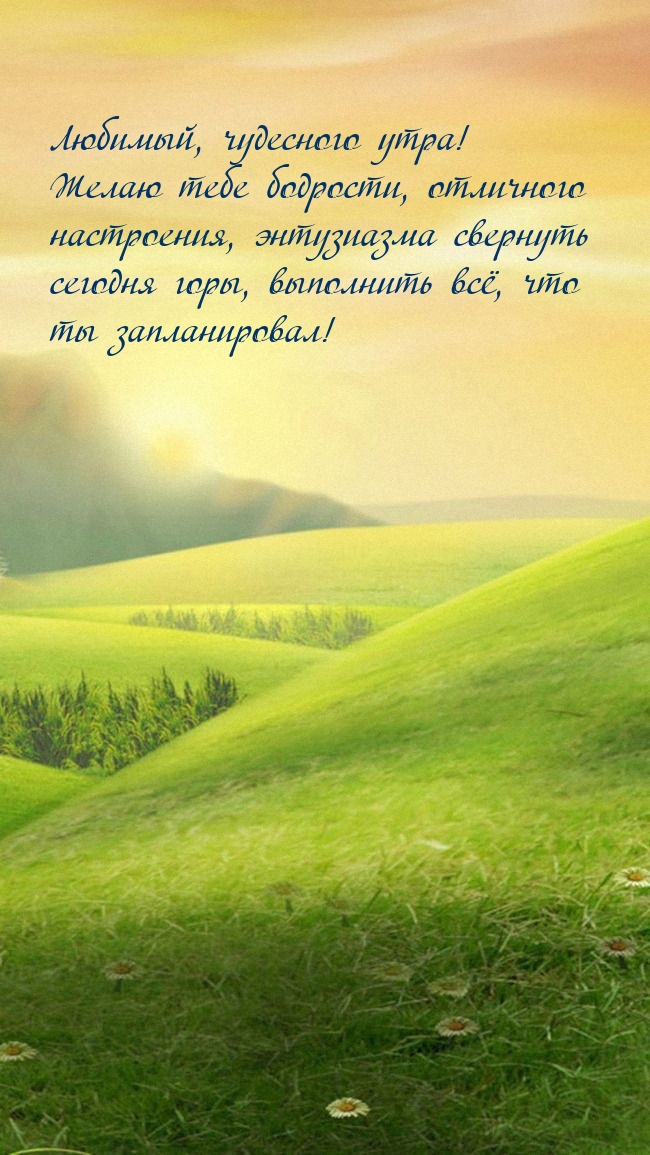 Любимый, чудесного утра!