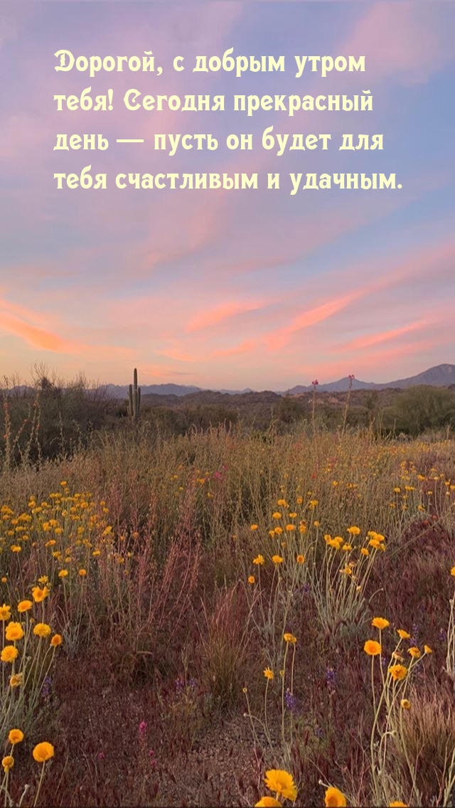 Дорогой, с добрым утром тебя!