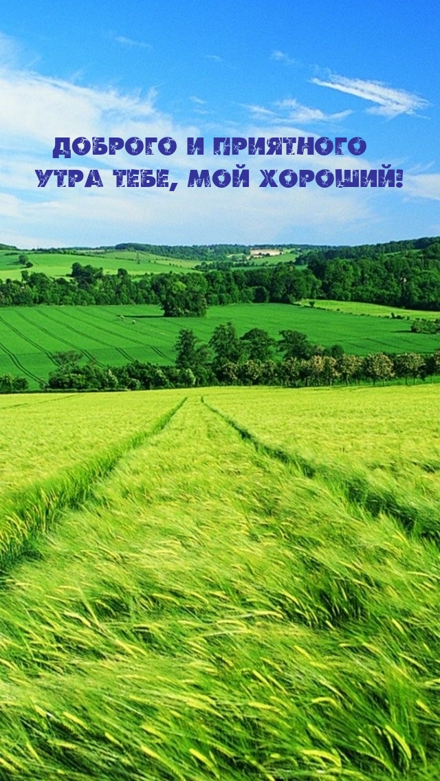 Доброго и приятного утра тебе, мой хороший!