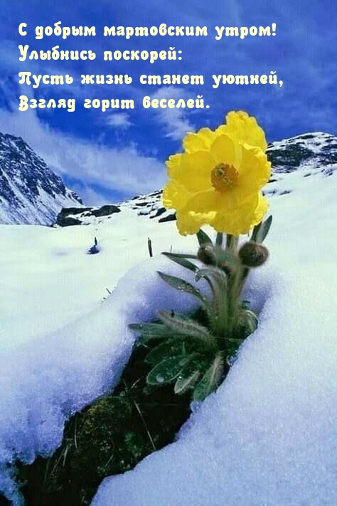 С добрым мартовским утром! Улыбнись поскорей