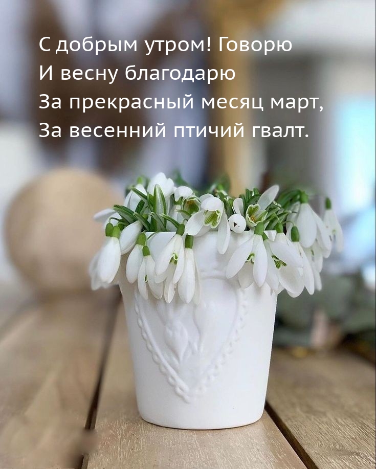 С добрым утром! Говорю и весну благодарю за прекрасный март