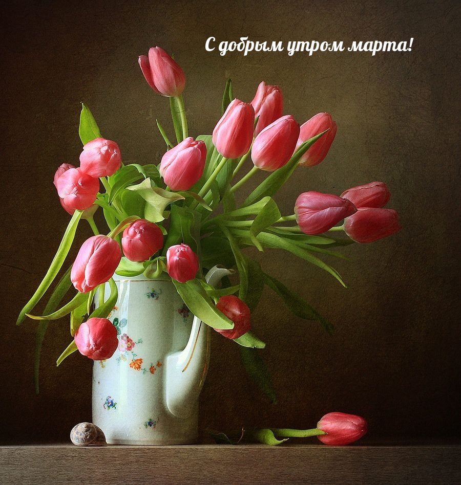 С добрым утром марта!