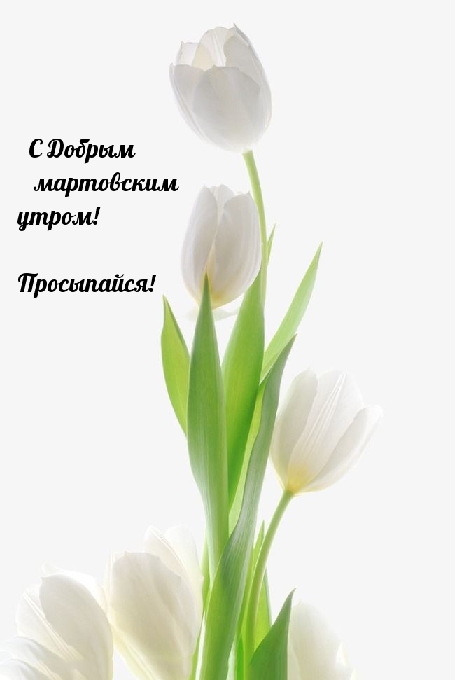 С Добрым мартовским утром! Просыпайся!