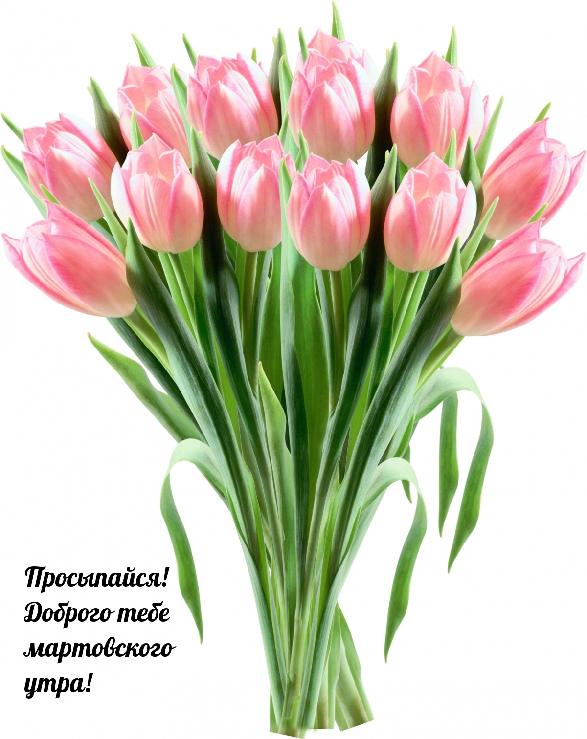 Просыпайся! Доброго тебе мартовского утра!