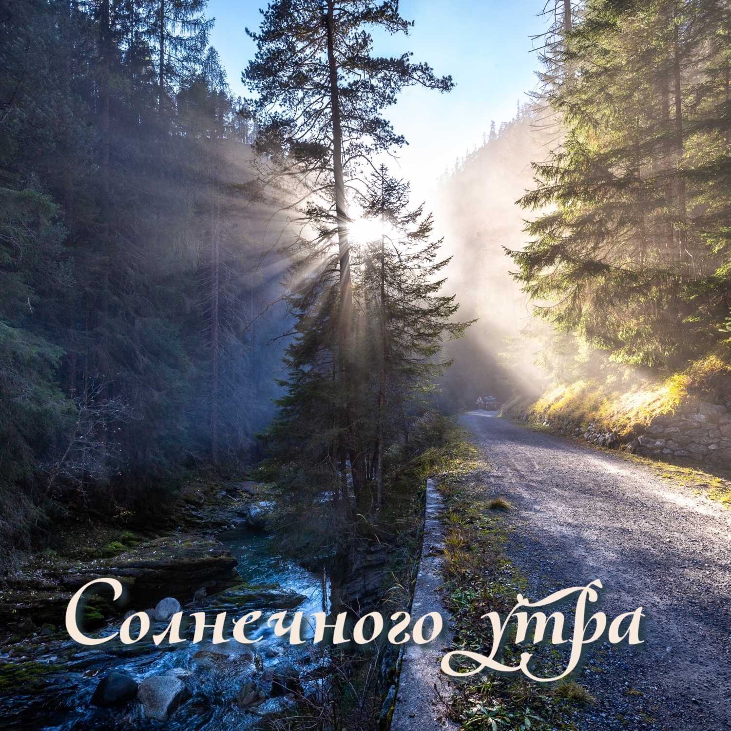 Солнечного утра