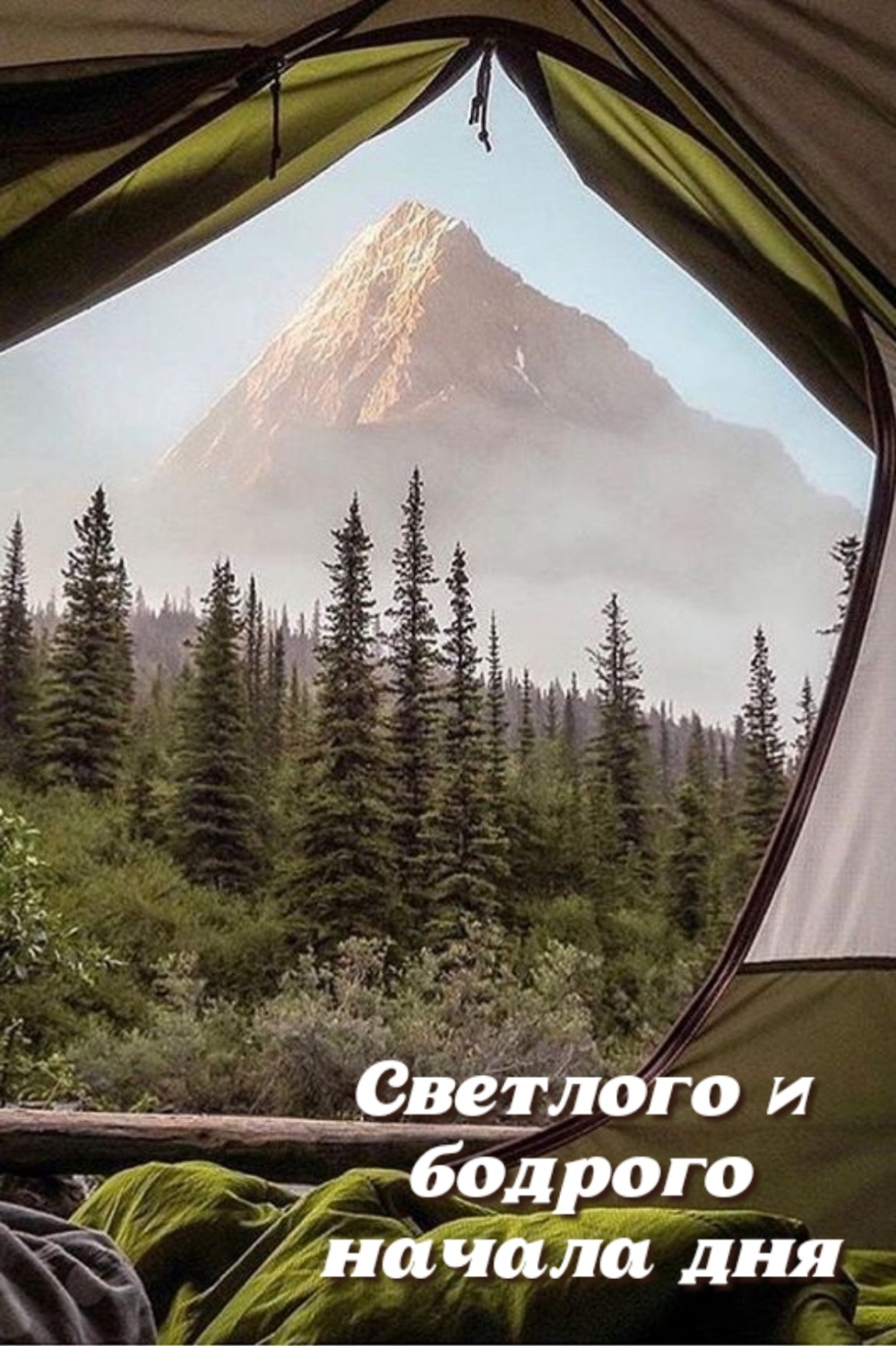 Картинка - Светлого и бодрого начала дня.
