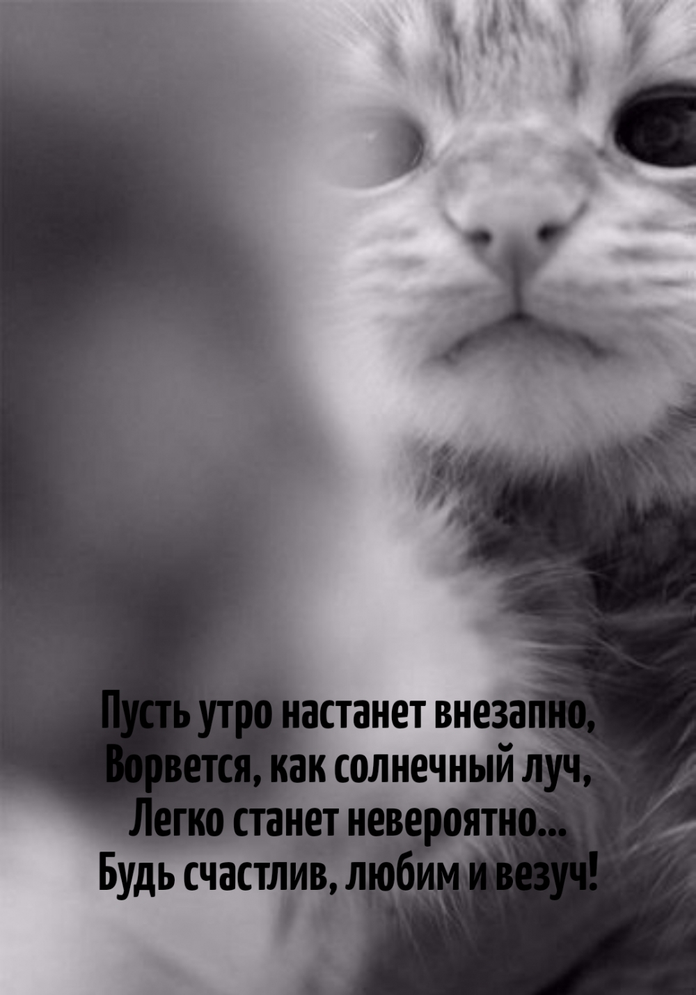 Пусть утро настанет внезапно, ворвется, как солнечный луч