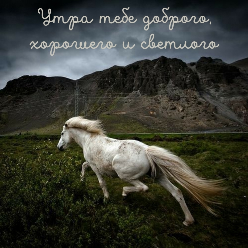Утра тебе доброго, хорошего и светлого