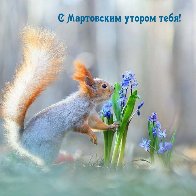 С Мартовским утором тебя!