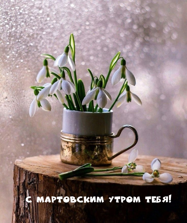 С Мартовским утром тебя!