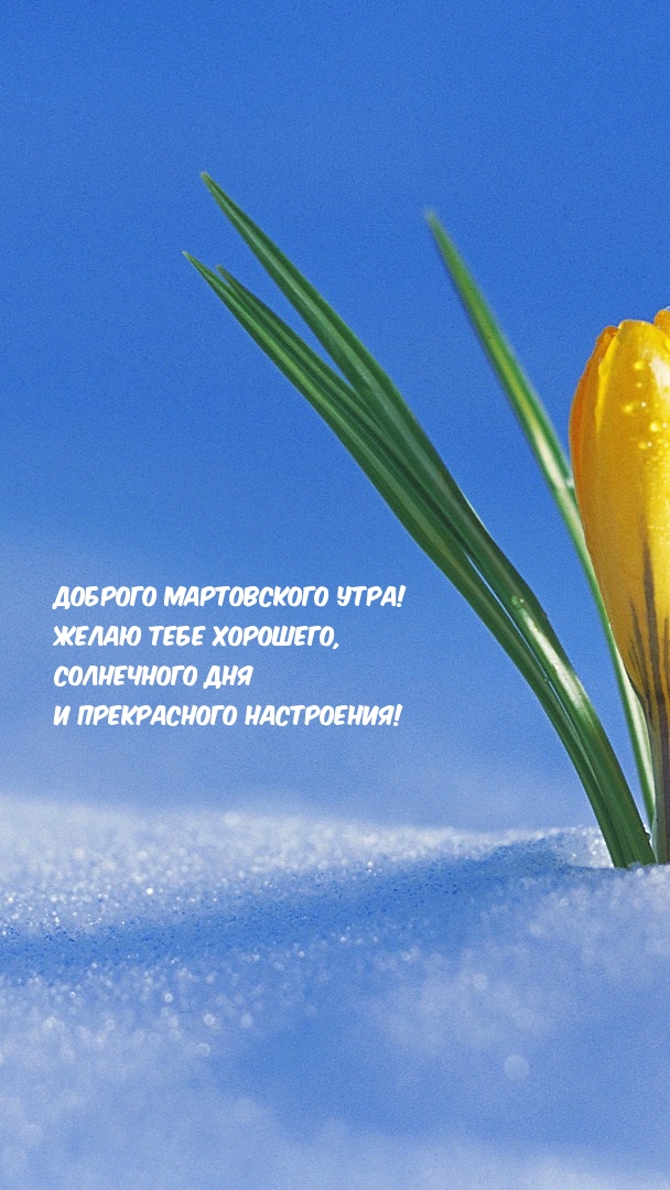 Доброго мартовского утра! Желаю тебе хорошего, солнечного дня