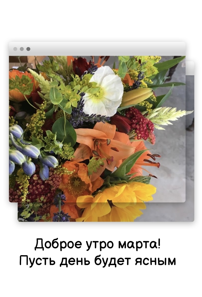 Доброе утро марта! Пусть день будет ясным
