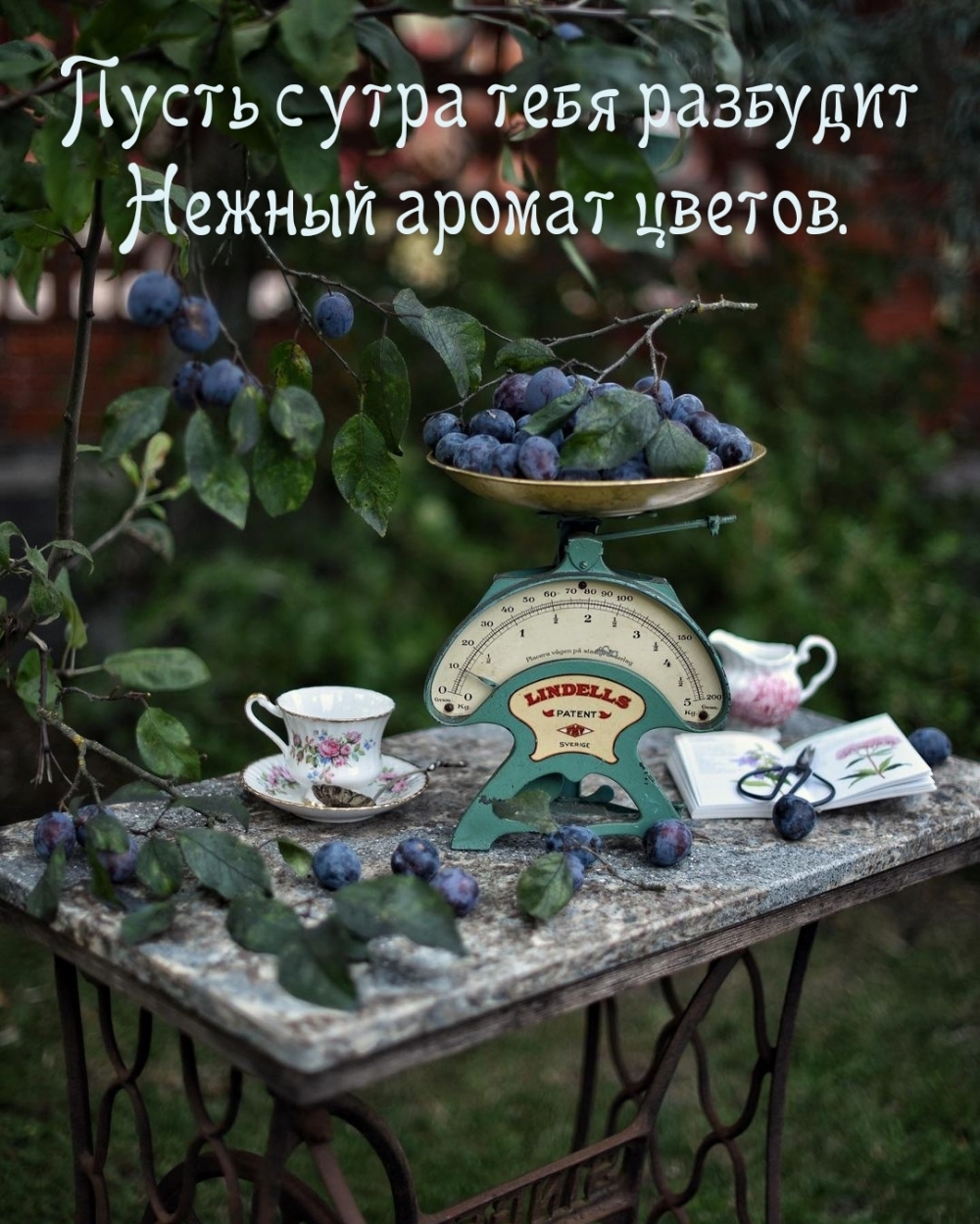 Пусть с утра тебя разбудит нежный аромат цветов.