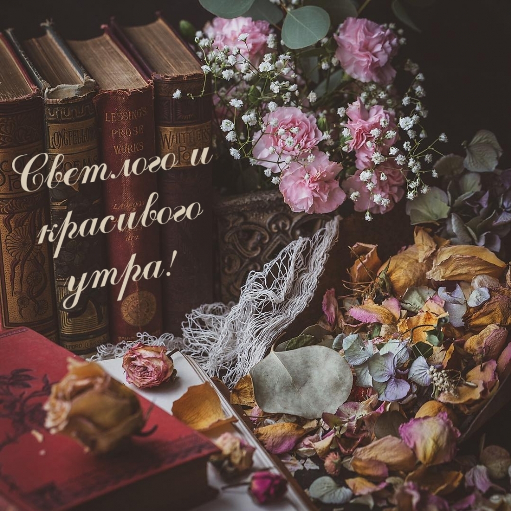 Светлого и красивого утра!