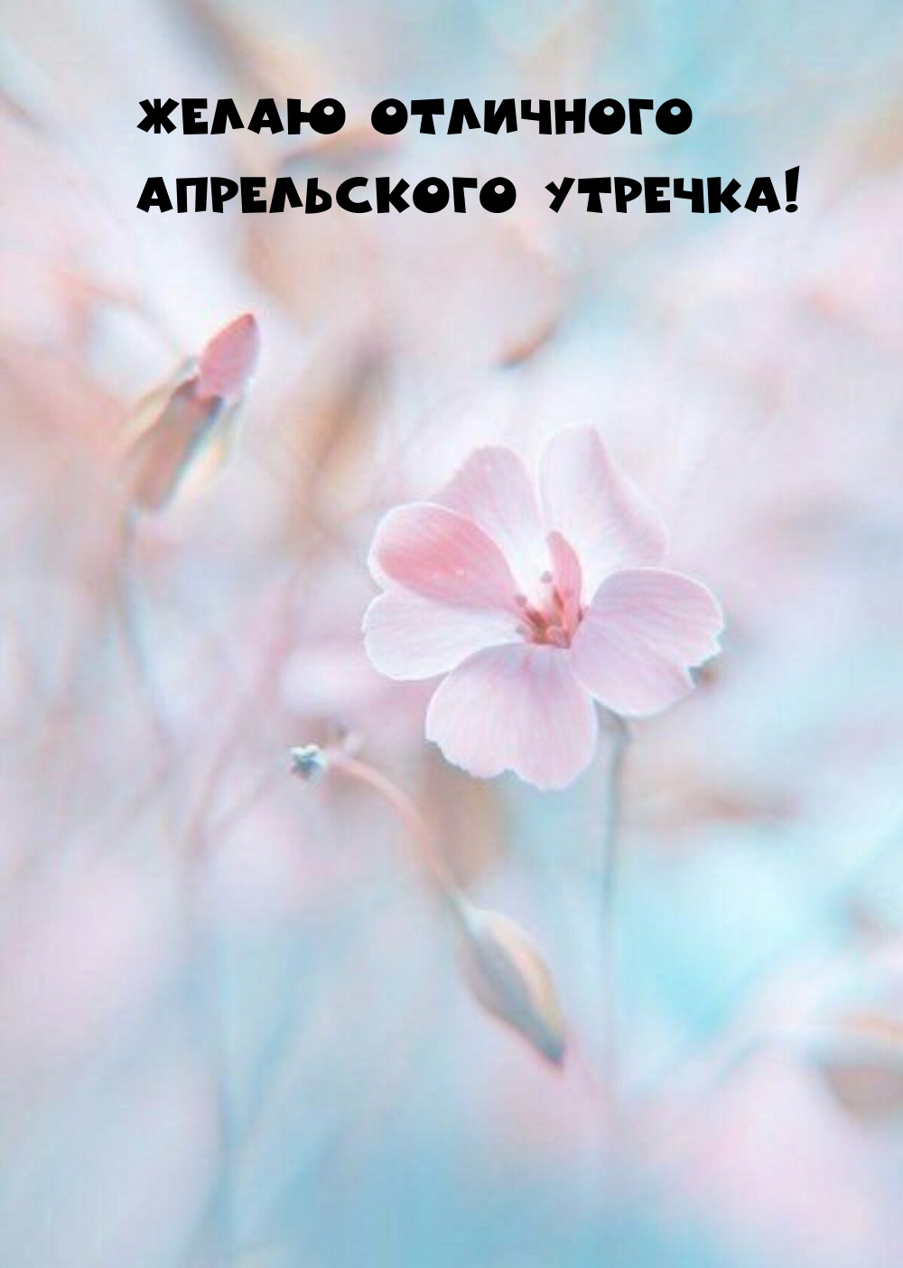 Желаю отличного апрельского утречка!