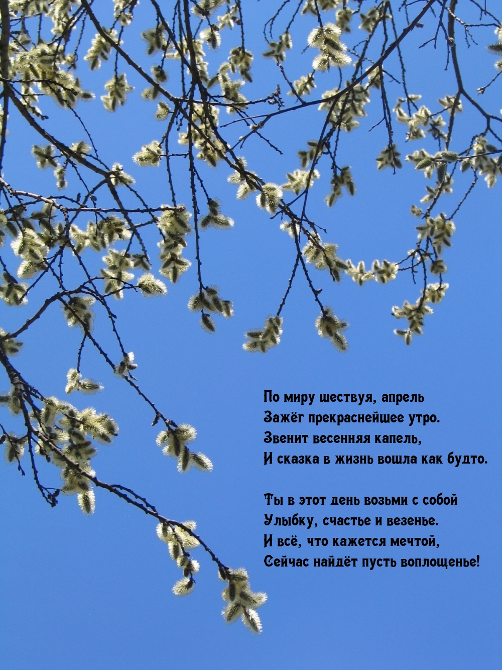 По миру шествуя, апрель зажёг прекраснейшее утро.