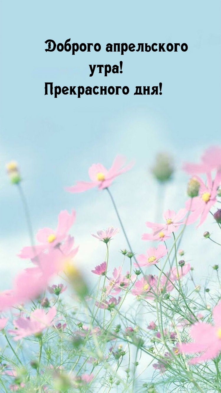 Доброго апрельского утра! Прекрасного дня!