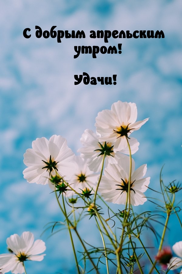 С добрым апрельским утром! Удачи!