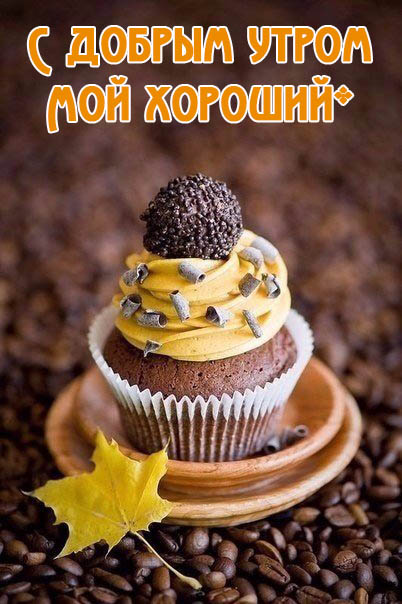 С добрым утром, мой хороший!