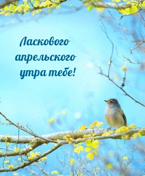 Ласкового апрельского утра тебе!