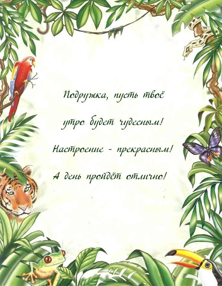 Подружка, пусть твоё утро будет чудесным!