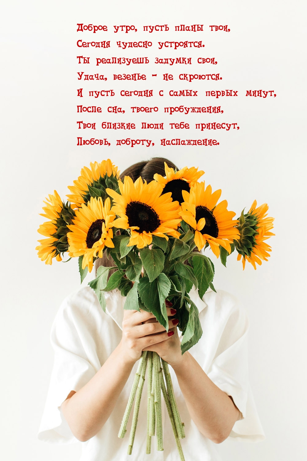 Доброе утро, пусть планы твои, сегодня чудесно устроятся.