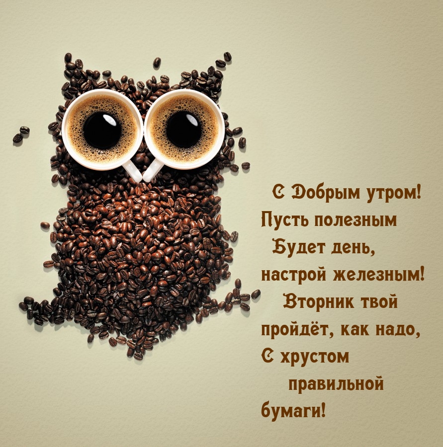С Добрым утром! Вторник твой пройдёт, как надо.