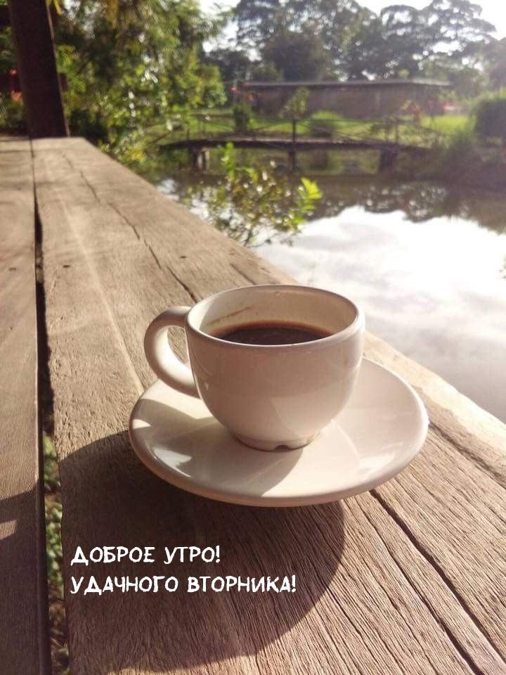Доброе утро! Удачного вторника!