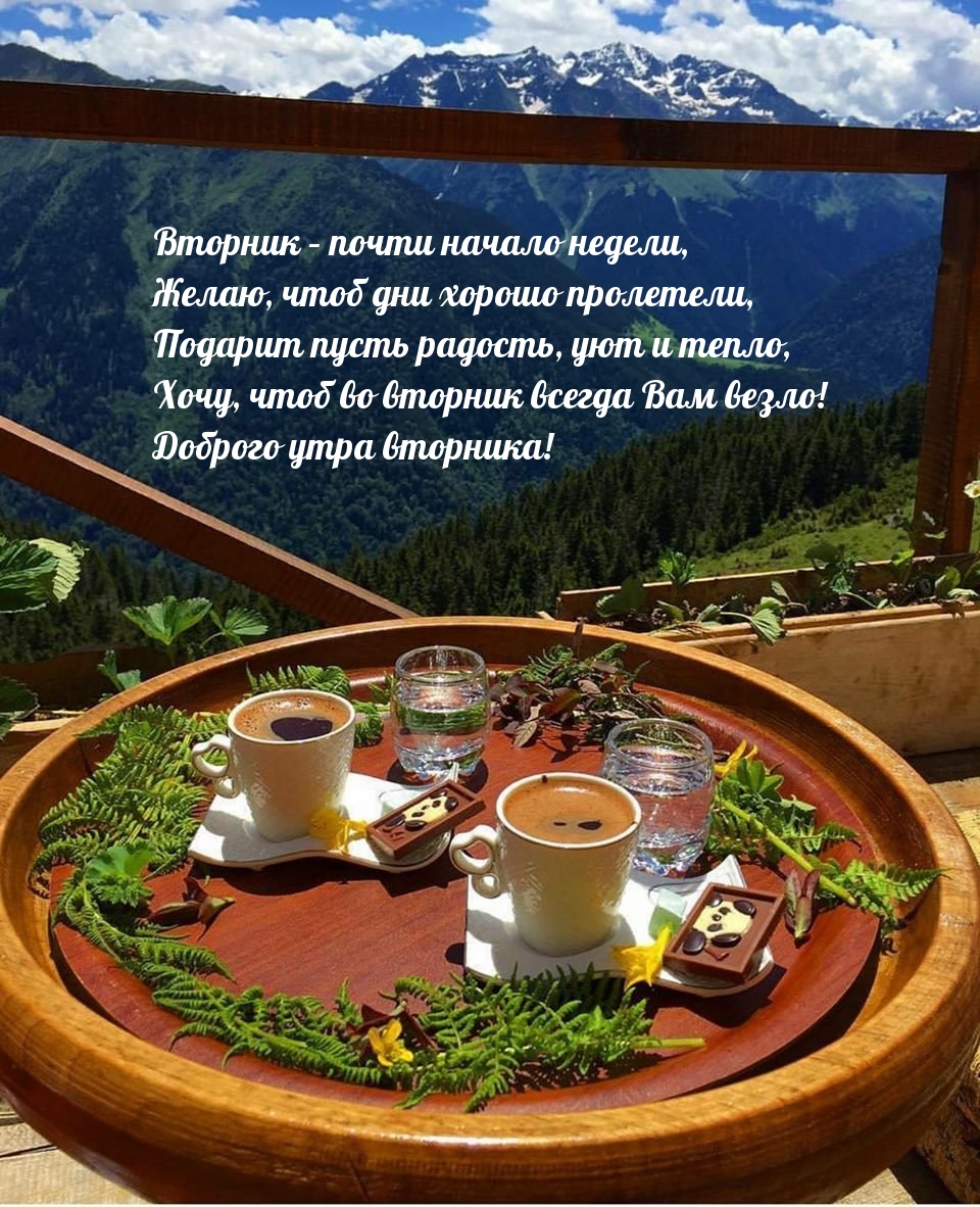 Доброго утра вторника! Вторник – почти начало недели