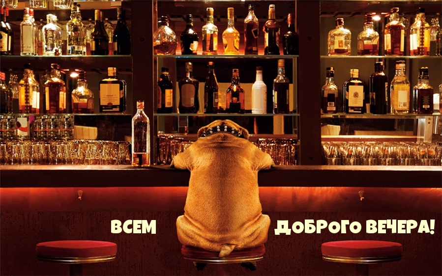ВСЕМ ДОБРОГО ВЕЧЕРА!