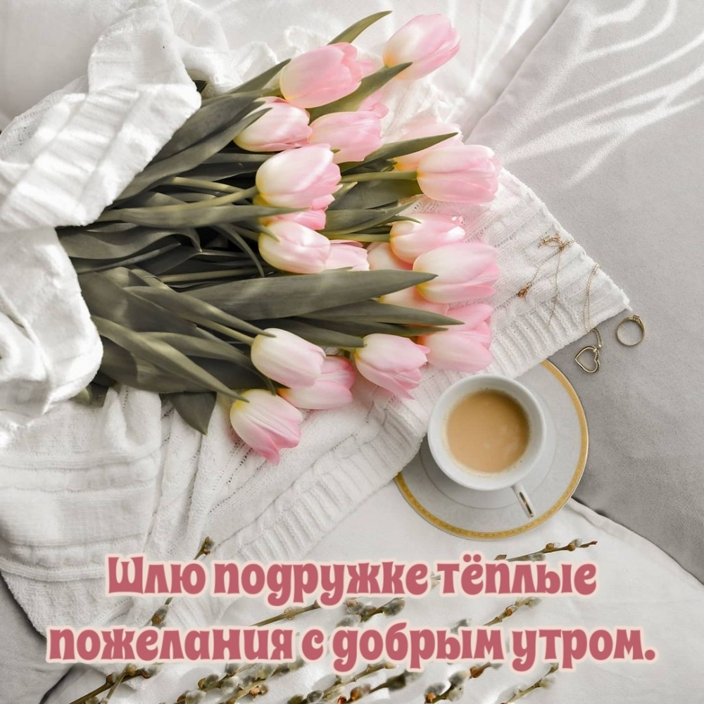 Шлю подружке тёплые пожелания с добрым утром.