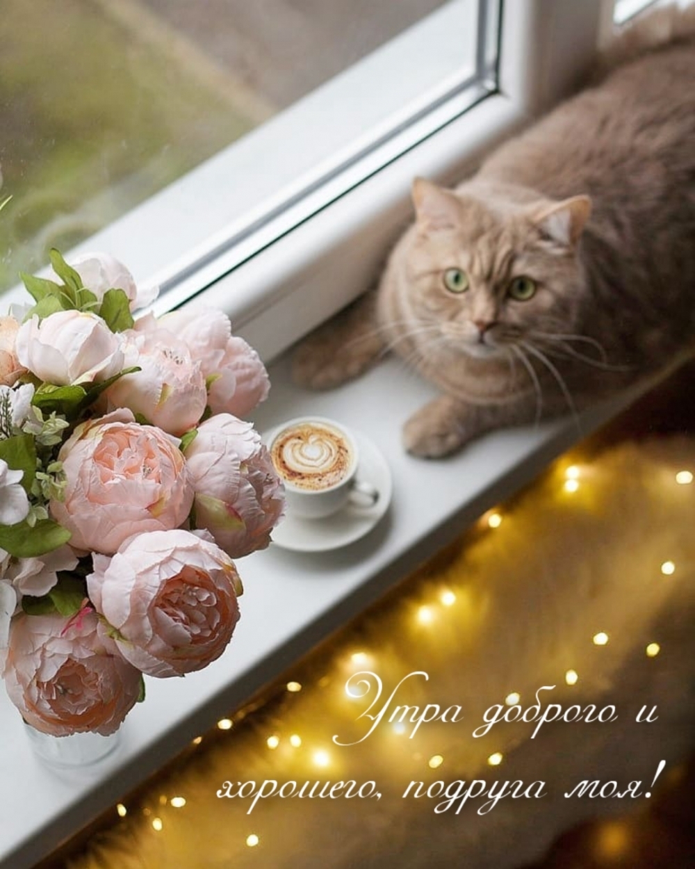 Утра доброго и хорошего, подруга моя!