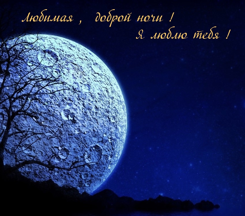 Любимая , доброй ночи! Я люблю тебя!