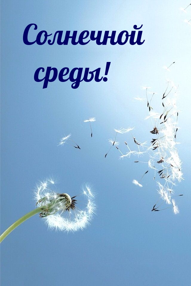 Солнечной среды!