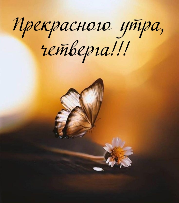 Прекрасного утра, четверга!