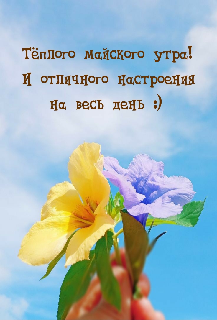 Тёплого майского утра! И отличного настроения на весь день :)