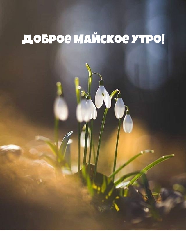 Доброе майское утро!