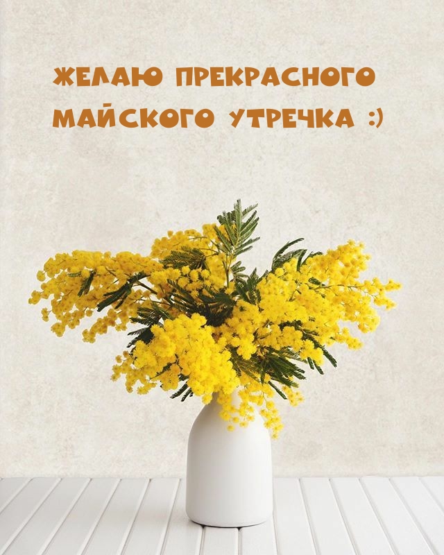 Желаю прекрасного майского утречка :)