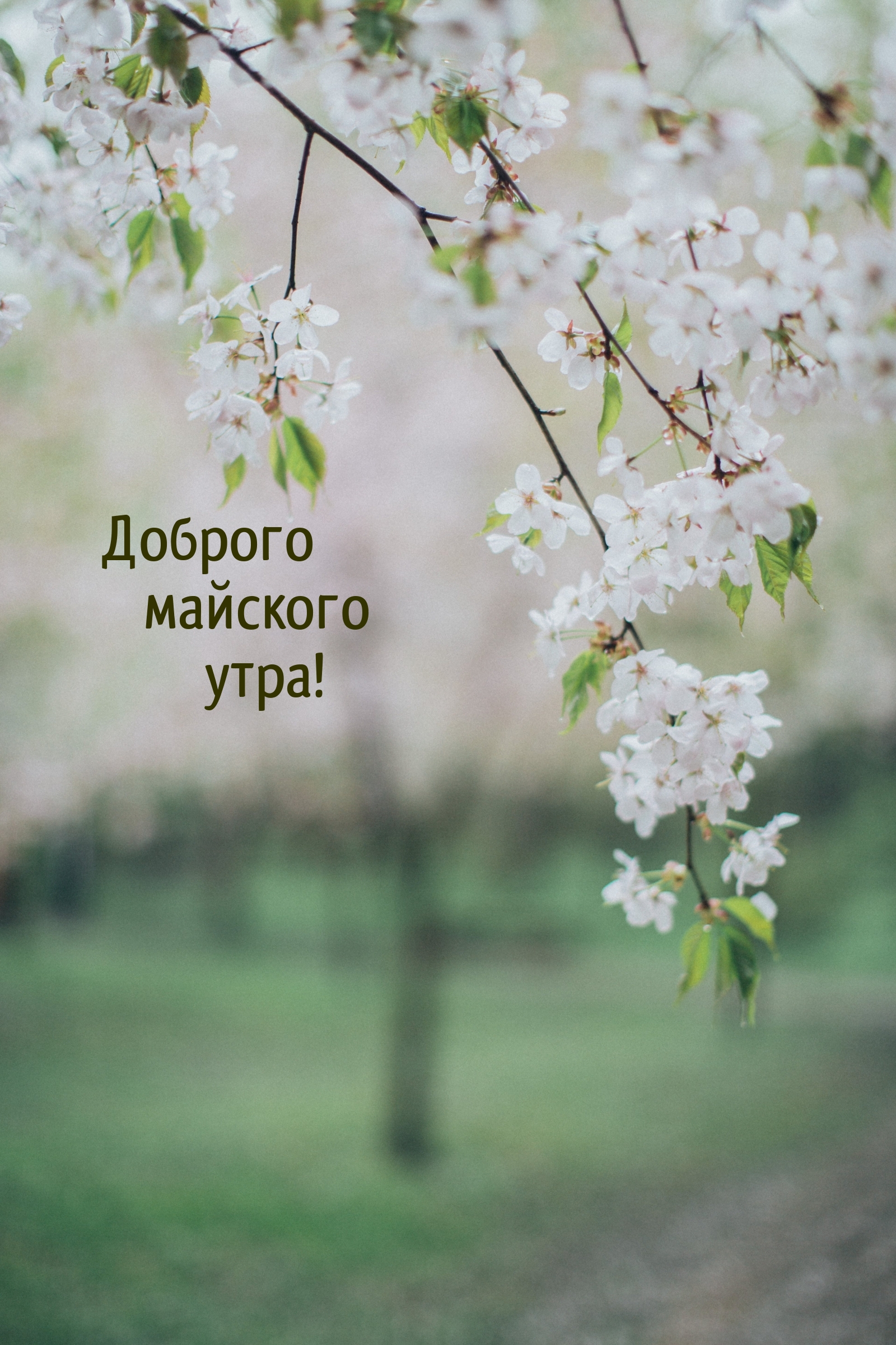 Доброго майского утра!