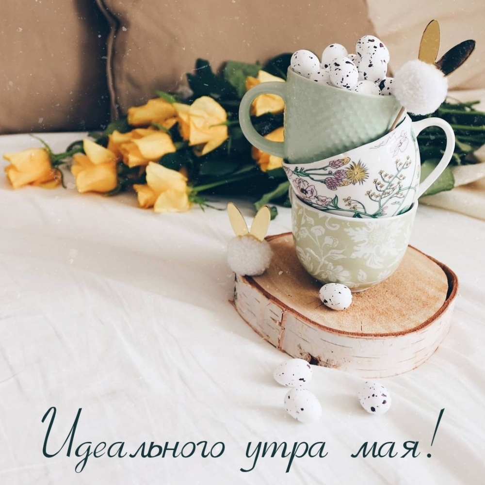Идеального утра мая!