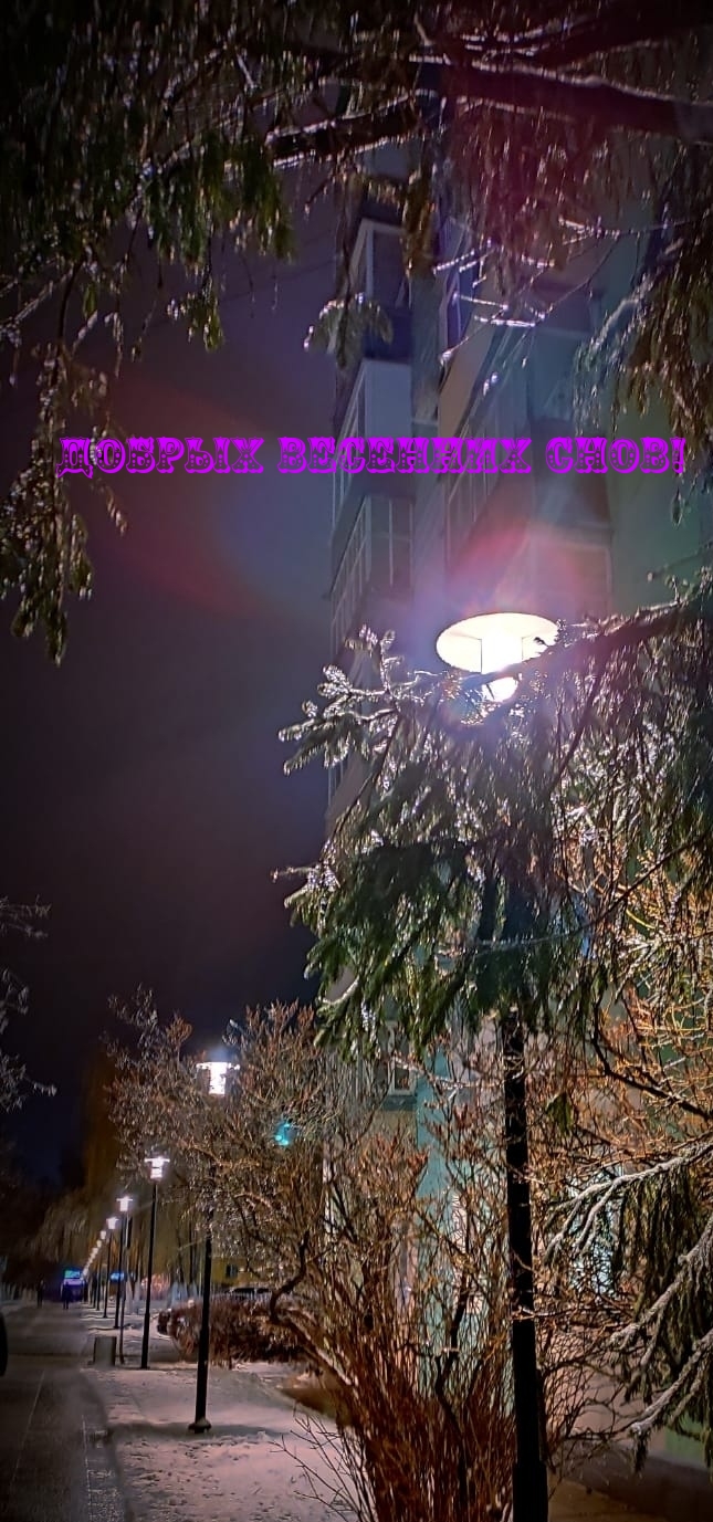 Добрых весенних снов!